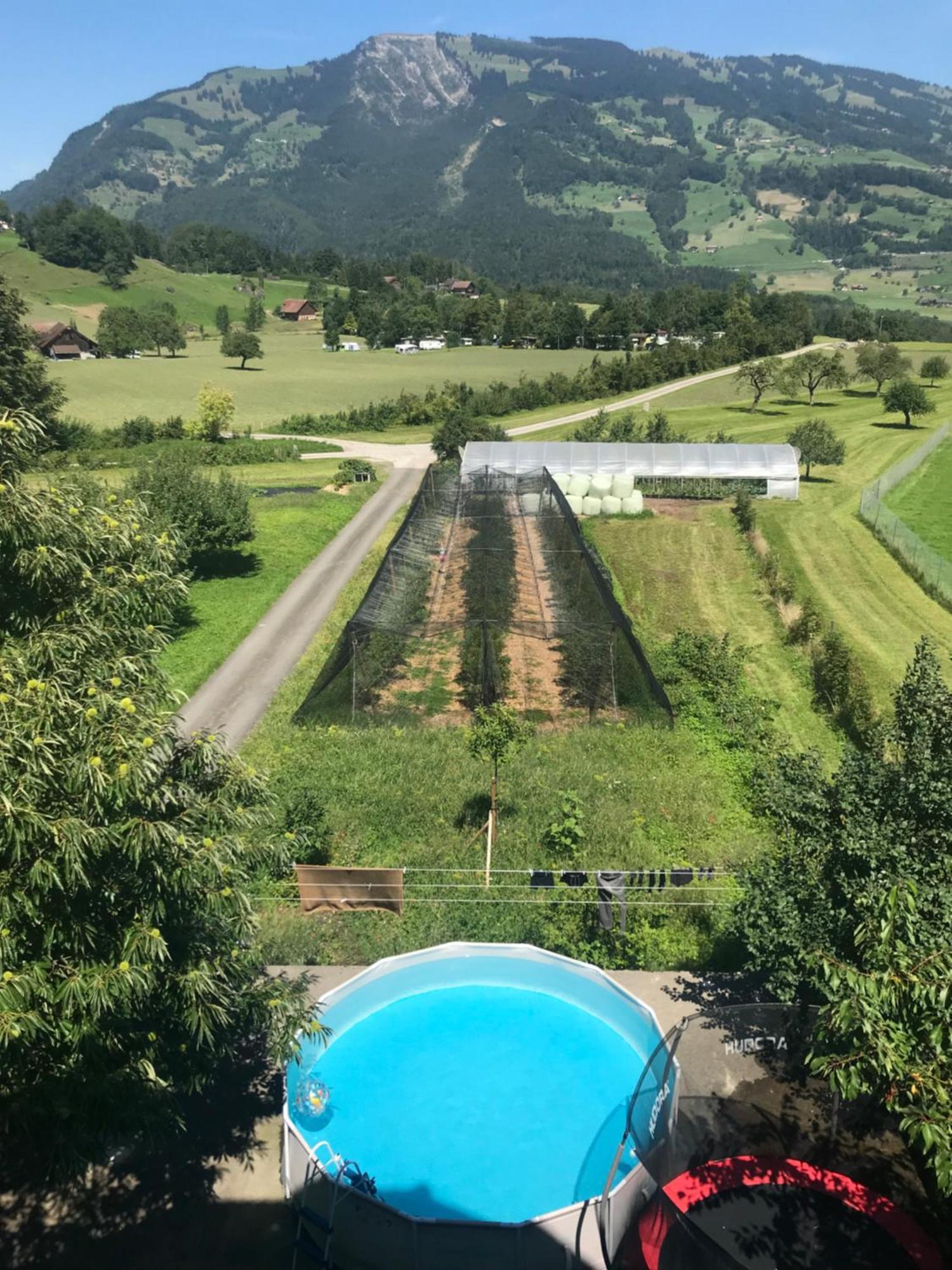 Bed and Breakfast Hirschfarm, Goldau Exterior foto