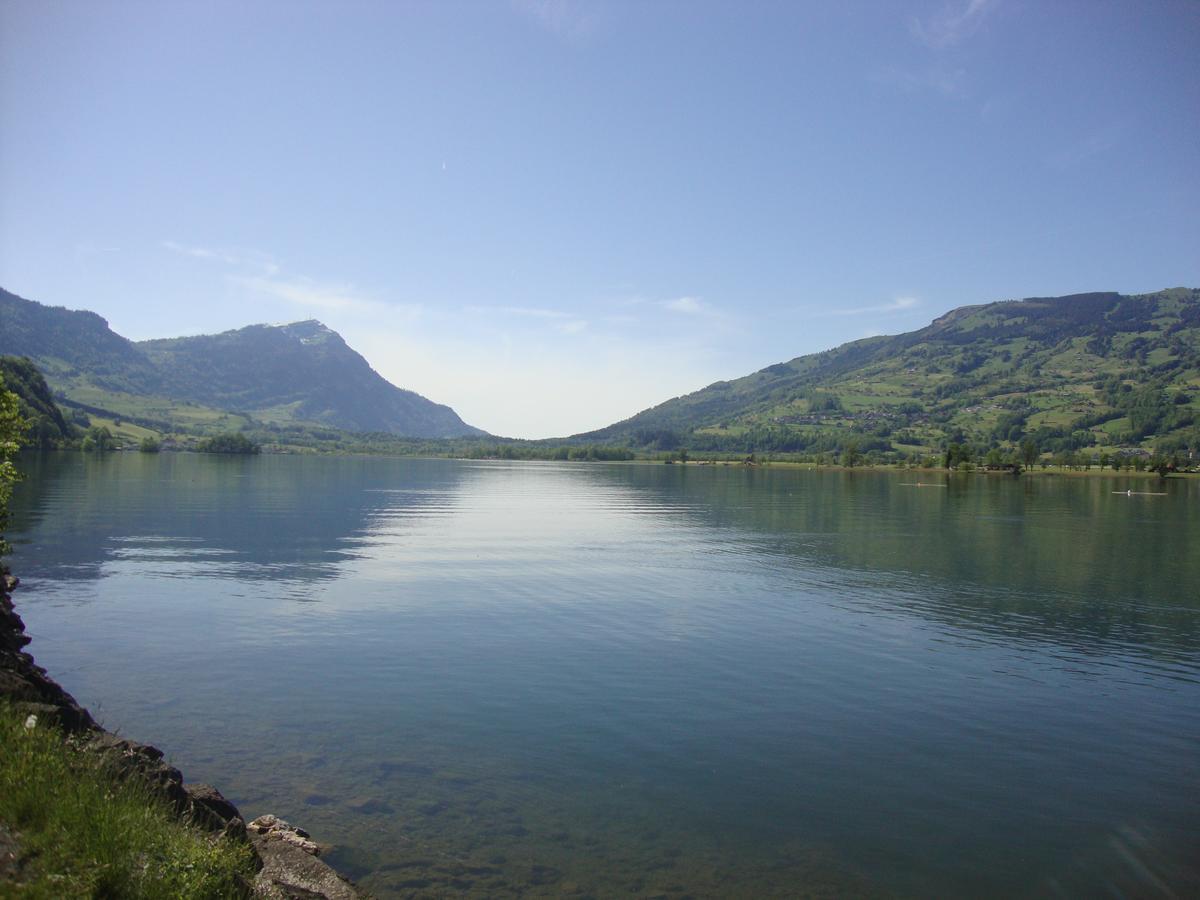 Bed and Breakfast Hirschfarm, Goldau Exterior foto