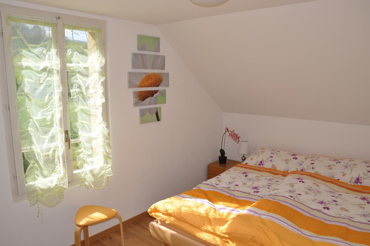 Bed and Breakfast Hirschfarm, Goldau Exterior foto